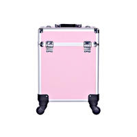 Professional Aluminum Large Capacity Cosmetic Make Up Trolley Case
